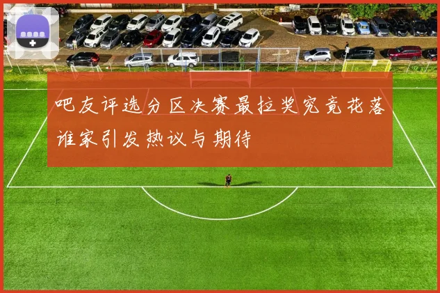 吧友评选分区决赛最拉奖究竟花落谁家引发热议与期待