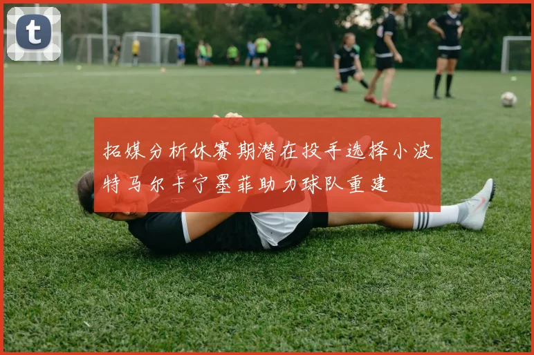拓媒分析休赛期潜在投手选择小波特马尔卡宁墨菲助力球队重建